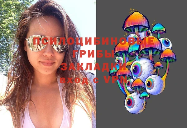 эйфоретик Зерноград